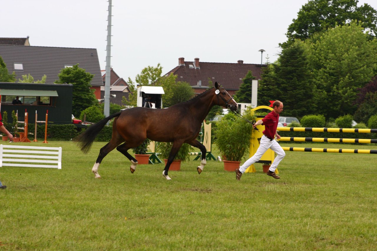 Bild 54 - Elmshorn am 9.6.10